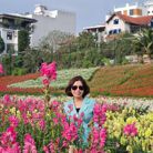 Bảo Long